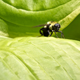 Image for article titled Shooting Challenge: Focus Stacking Gallery